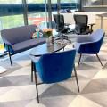 Project - Product Seen: [Teiji 2–Seater Sofa & Teiji 1–Seater Sofa]